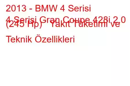 2013 - BMW 4 Serisi
4 Serisi Gran Coupe 428i 2.0 (245 Hp) Yakıt Tüketimi ve Teknik Özellikleri