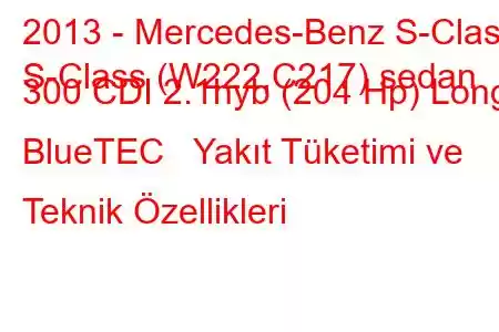 2013 - Mercedes-Benz S-Class
S-Class (W222,C217) sedan 300 CDI 2.1hyb (204 Hp) Long BlueTEC Yakıt Tüketimi ve Teknik Özellikleri