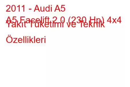 2011 - Audi A5
A5 Facelift 2.0 (230 Hp) 4x4 Yakıt Tüketimi ve Teknik Özellikleri