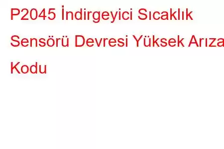 P2045 İndirgeyici Sıcaklık Sensörü Devresi Yüksek Arıza Kodu