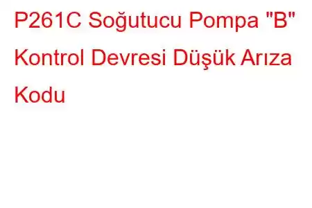 P261C Soğutucu Pompa 