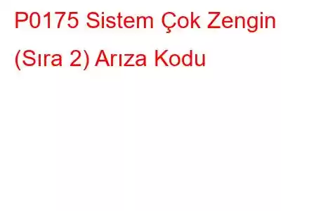 P0175 Sistem Çok Zengin (Sıra 2) Arıza Kodu