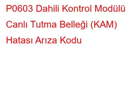 P0603 Dahili Kontrol Modülü Canlı Tutma Belleği (KAM) Hatası Arıza Kodu