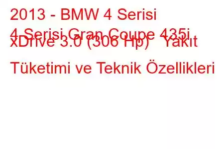 2013 - BMW 4 Serisi
4 Serisi Gran Coupe 435i xDrive 3.0 (306 Hp) Yakıt Tüketimi ve Teknik Özellikleri