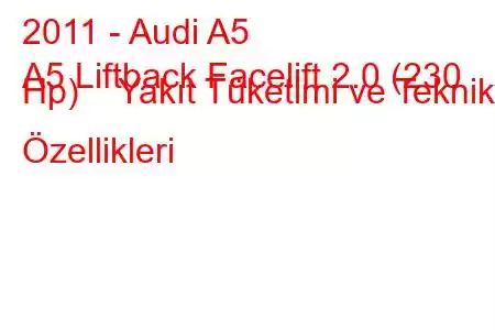 2011 - Audi A5
A5 Liftback Facelift 2.0 (230 Hp) Yakıt Tüketimi ve Teknik Özellikleri