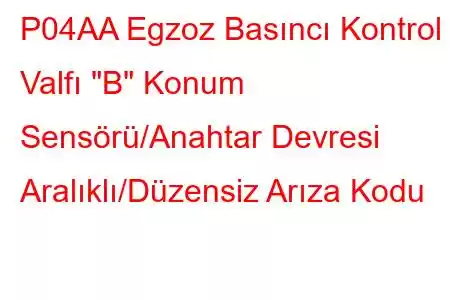 P04AA Egzoz Basıncı Kontrol Valfı 