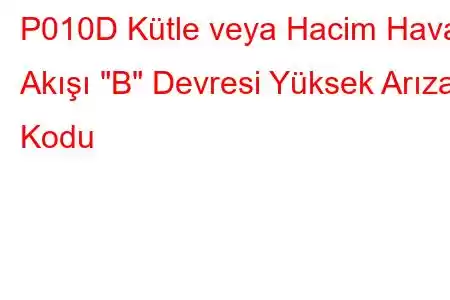 P010D Kütle veya Hacim Hava Akışı 