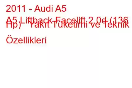 2011 - Audi A5
A5 Liftback Facelift 2.0d (136 Hp) Yakıt Tüketimi ve Teknik Özellikleri