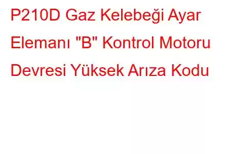 P210D Gaz Kelebeği Ayar Elemanı 