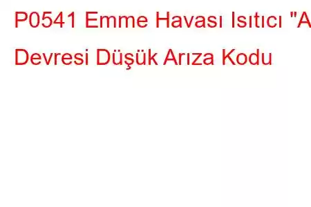 P0541 Emme Havası Isıtıcı 